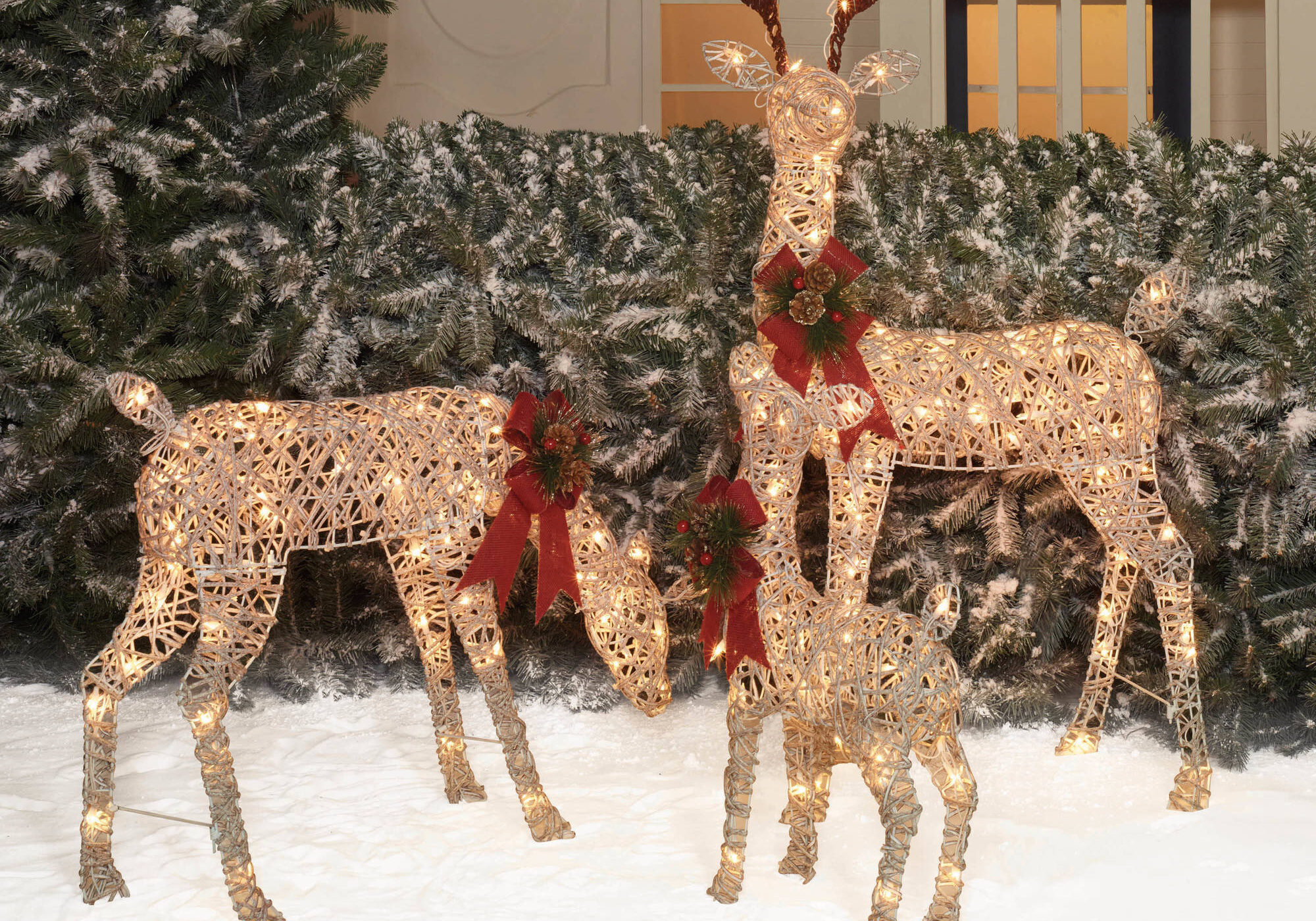 d4553141-0f5a-4e27-8a70-c5a8bcd552d1_1.12d5924df05bf2899be69ff7994be3cf