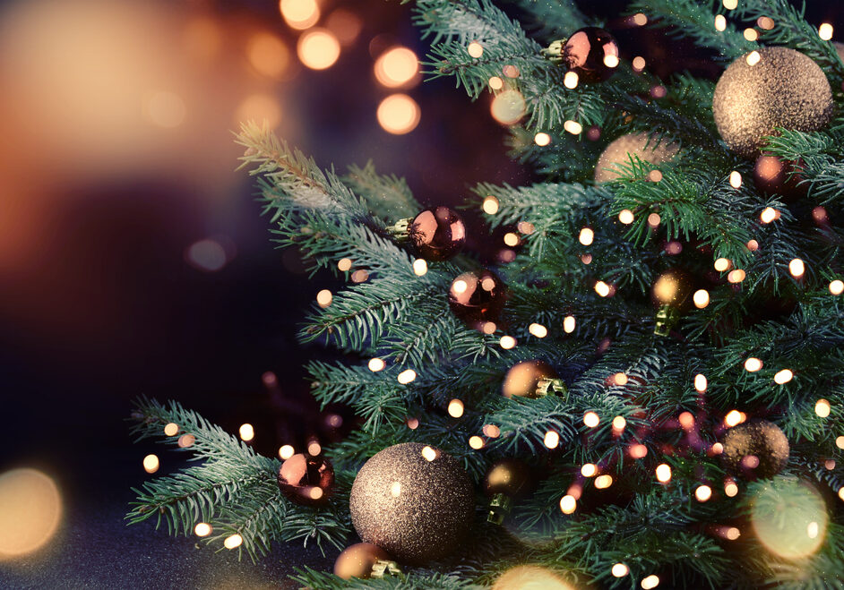 shutterstock_521981425